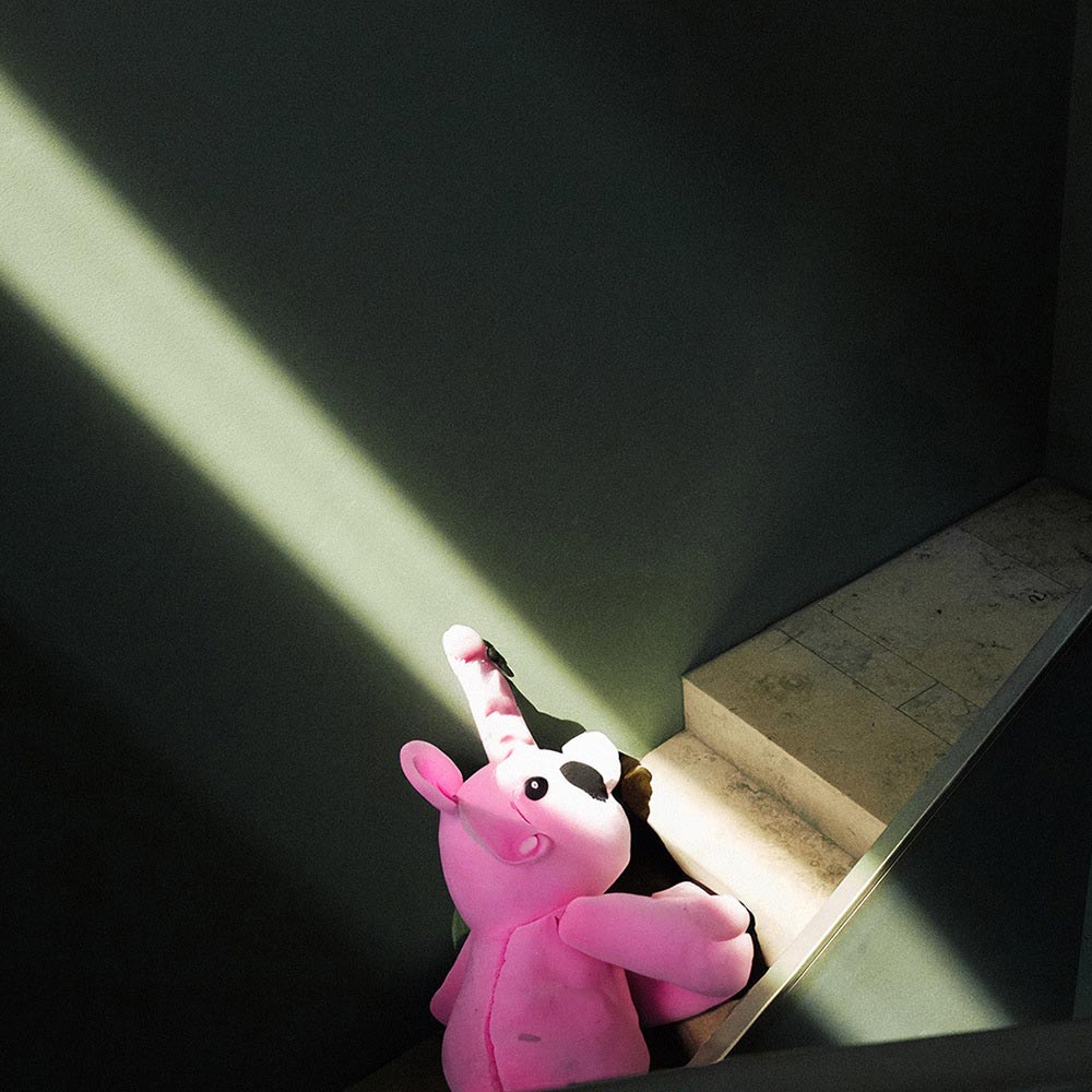 Man sieht einen FederhenSchneider Mitarbeiter, der von oben fotografiert wurde, wie er auf einer Treppe steht. Er trägt eine Baseball Cap und eine Sonnenbrille und zeigt nach oben.