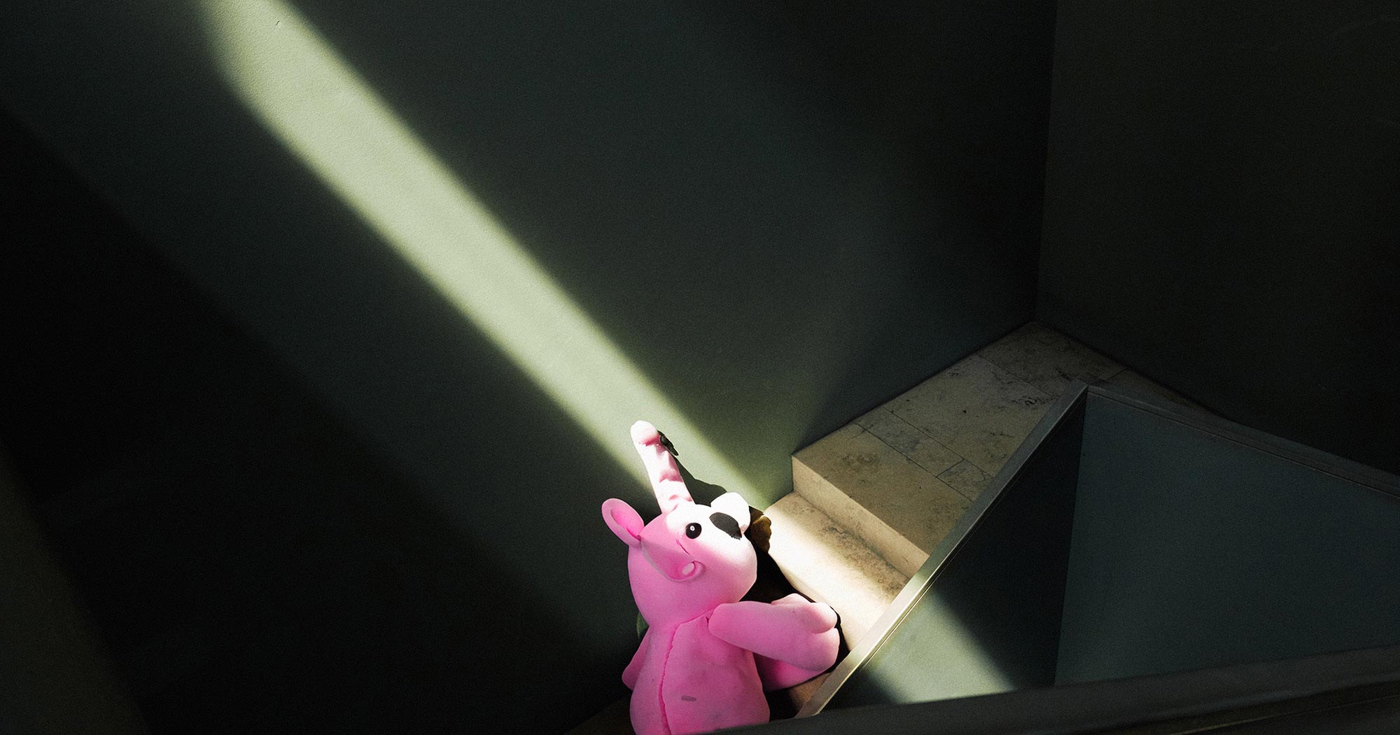 Man sieht einen FederhenSchneider Mitarbeiter, der von oben fotografiert wurde, wie er auf einer Treppe steht. Er trägt eine Baseball Cap und eine Sonnenbrille und zeigt nach oben.